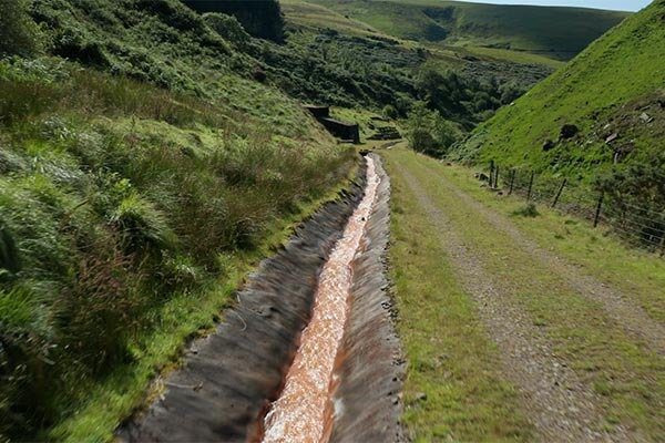 Homepage - Promo Video