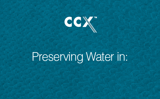 CCX Compressed CCX Homepage