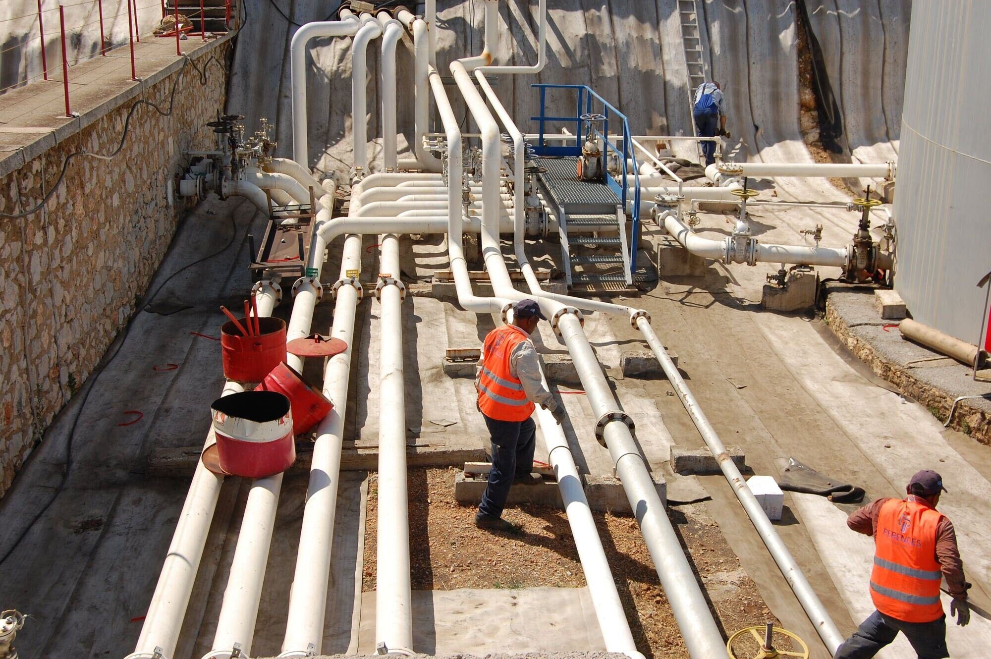 DSC_1756.NEF-compressor weed suppression