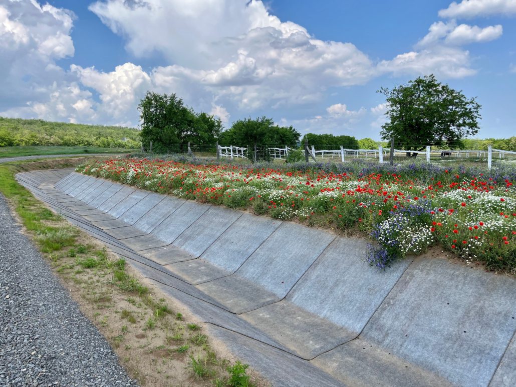 CCX-M M31 Canal Lining Completed CCX-M M31 Canal Lining Completed