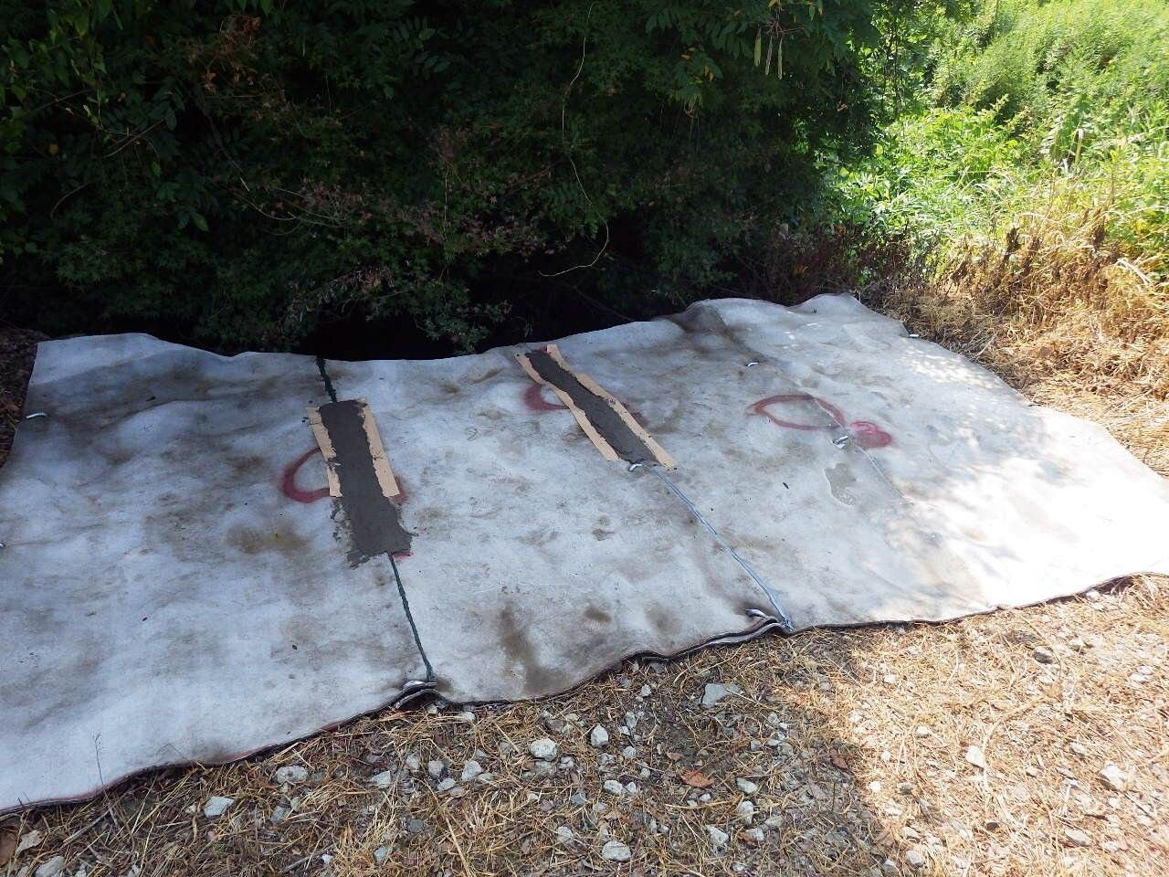 Knotweed-Site-2-image-1 Knotweed weed suppression