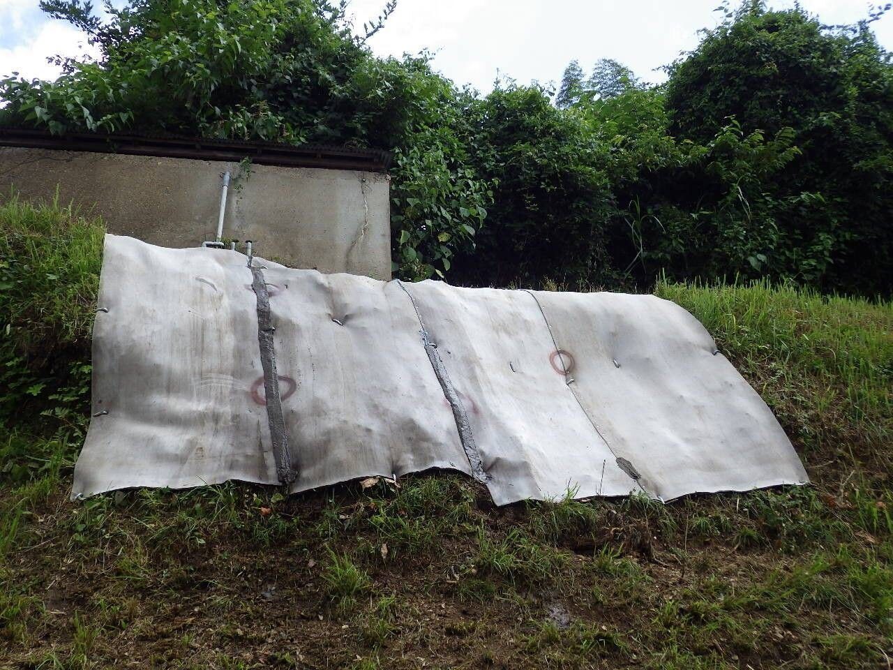 Knotweed-site-1-image-1 Knotweed weed suppression