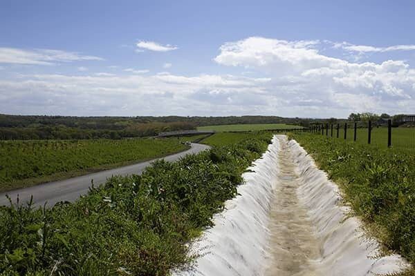 Laurie-Cummings-Meet-the-Team-5ML Laurie-Cummings-Meet-the-Team-5ML